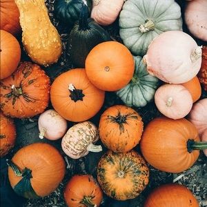 Meet your Posher, Mailan